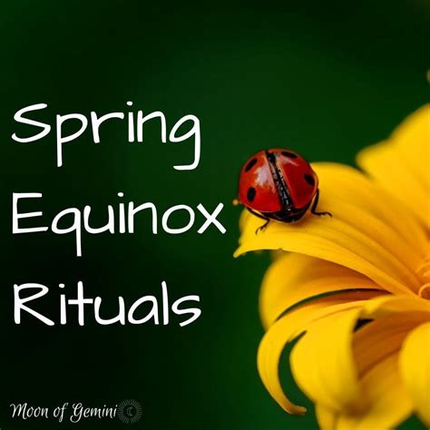 Harnessing the Rebirth of Nature: Engaging in Pagan Ceremonies for the Spring Equinox